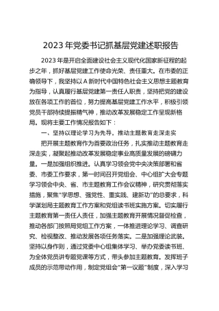 2023年党委书记抓基层党建述职报告3000字