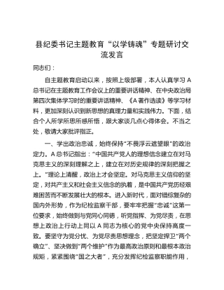 县纪委书记主题教育“以学铸魂”专题研讨交流发言