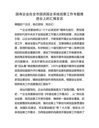 国企公司在巡察工作专题推进会上的汇报发言（3000字总结）