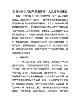 副县长参加党校进修班个人党性分析报告3000字