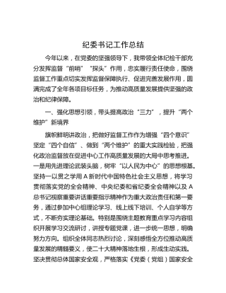 纪委书记个人工作总结2600字