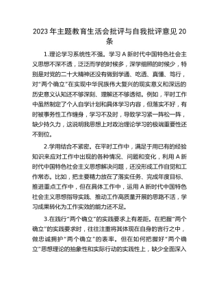 2023年主题教育生活会批评与自我批评意见20条