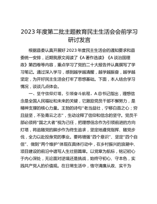2023年主题教育民主生活会会前学习研讨发言