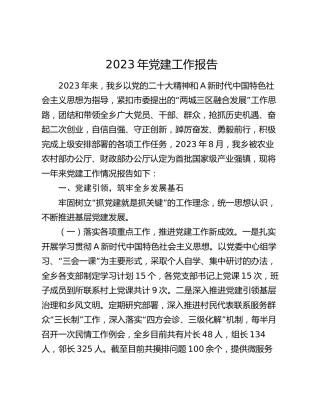 乡镇2023年党建工作报告3000字
