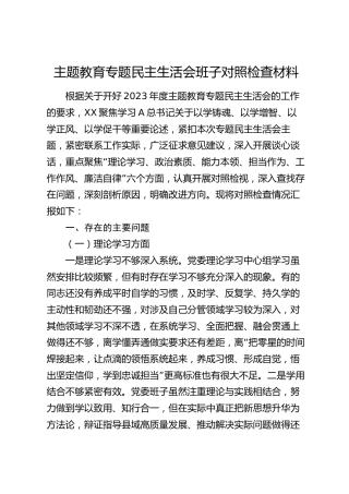 2023年主题教育专题民主生活会班子对照检查6100字