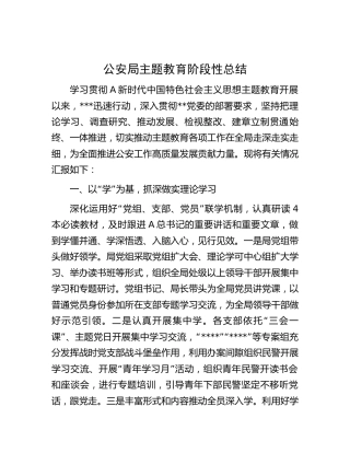 公安系统主题教育阶段性总结2100字