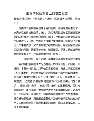 在巡察情况反馈会上的表态发言