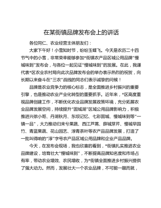 在街镇品牌发布会上的讲话