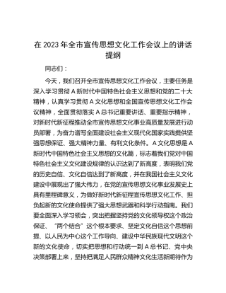 在2023年全市宣传思想文化工作会议上的讲话提纲