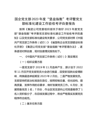 国企党支部2023年度“堡垒指数”考评暨党支部标准化建设工作验收考评自查报告（公司）