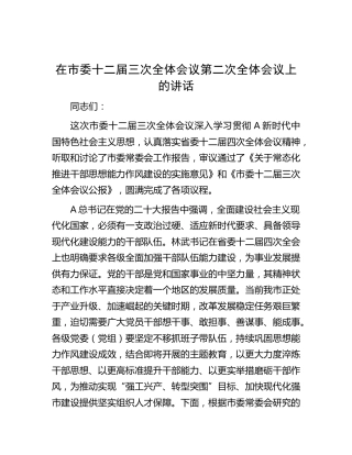 在市委十二届三次全体会议第二次全体会议上的讲话