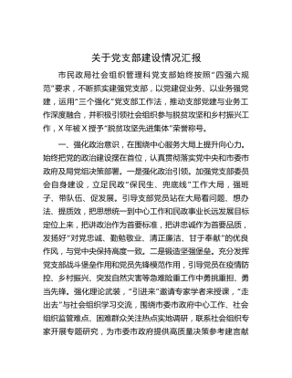 民政系统党支部建设情况总结汇报