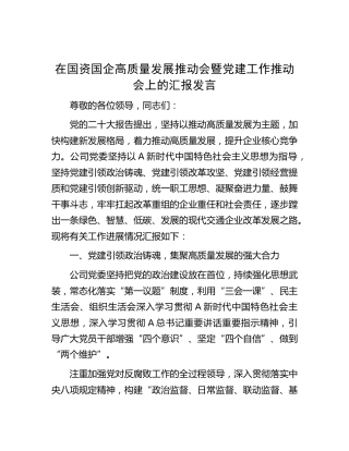 在国资国企高质量发展推动会暨党建工作推动会上的汇报发言（公司）