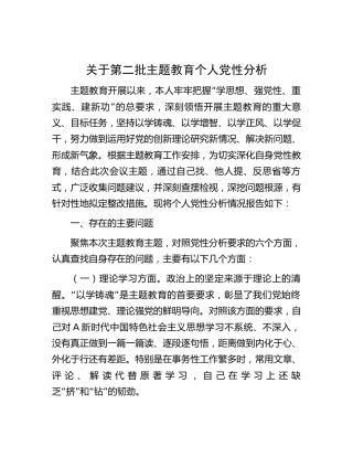 第二批主题教育个人党性分析3000字