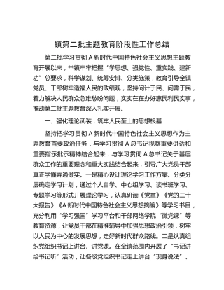 乡镇第二批主题教育阶段性工作总结2200字