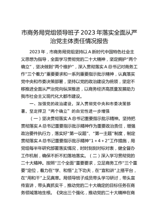 市商务系统领导班子2023年落实全面从严治党主体责任情况报告12000字