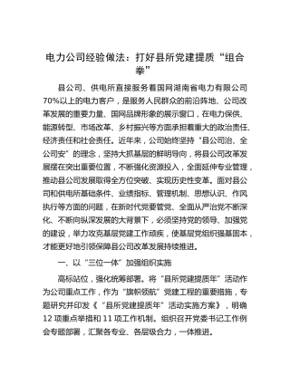 电力公司党建经验做法总结：打好县所党建提质“组合拳”
