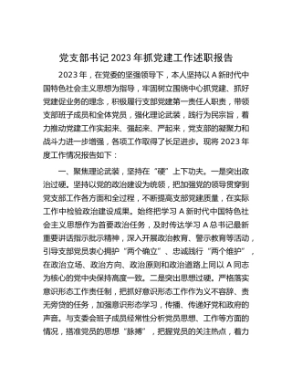 党支部书记2023年抓党建工作述职报告2500字