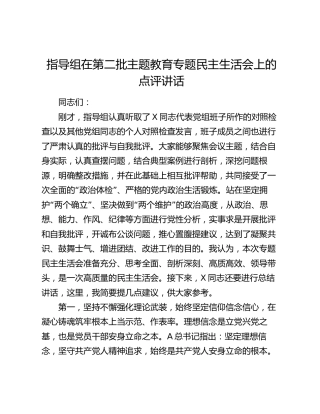 指导组在主题教育专题民主生活会上的点评讲话