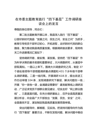 在主题教育践行“四下基层”工作调研座谈会上的发言