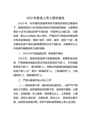 2023年度选人用人情况总结报告2800字