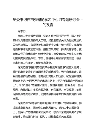 纪委书记在中心组专题研讨会上的发言