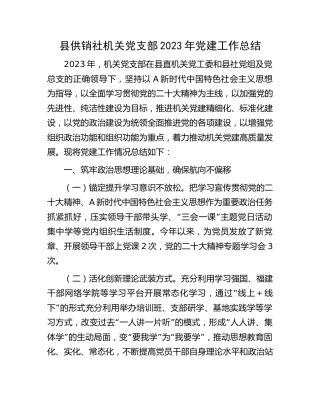 党支部2023年党建工作总结（供销社2700字）