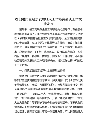在促进民营经济发展壮大工作落实会议上作交流发言