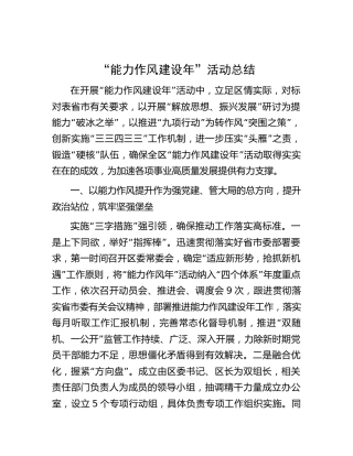 县区“能力作风建设年”活动总结5500字