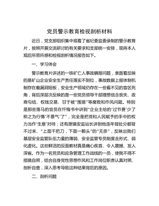 党员警示教育检视剖析（心得体会）