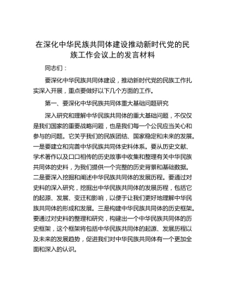 在深化中华民族共同体建设推动新时代党的民族工作会议上的发言