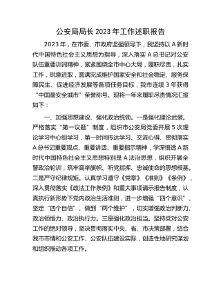 公安局长工作述职报告2000字
