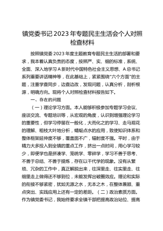 乡镇书记2023年主题教育专题民主生活会对照检查3300字