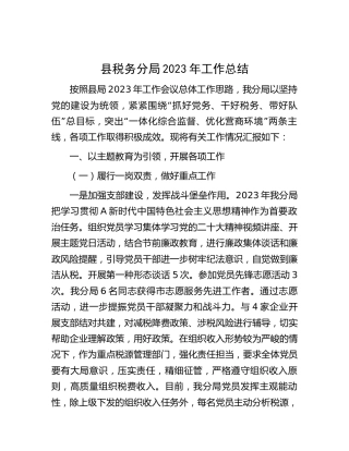 县税务分局2023年工作总结3400字