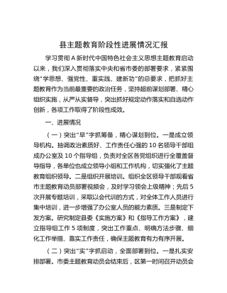 县区主题教育阶段性进展情况总结汇报2900字