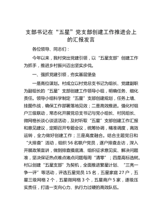 支部书记在“五星”党支部创建工作推进会上的汇报发言