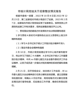 市统计系统巡察整改情况报告（6700字总结）