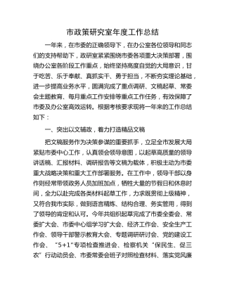 政研室年度工作总结2700字