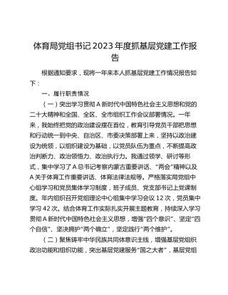 体育系统书记2023年度抓党建述职报告3800字