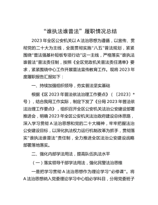 公安系统2023年度“谁执法谁普法”履职情况总结