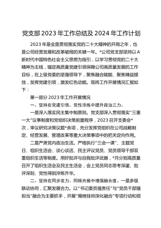 公司党支部2023年工作总结及2024年工作计划3300字（党建总结）