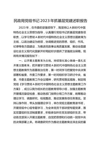 民政系统书记2023年抓基层党建述职报告2500字