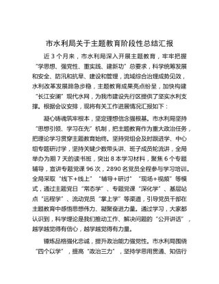 市水利系统主题教育阶段性总结汇报2000字