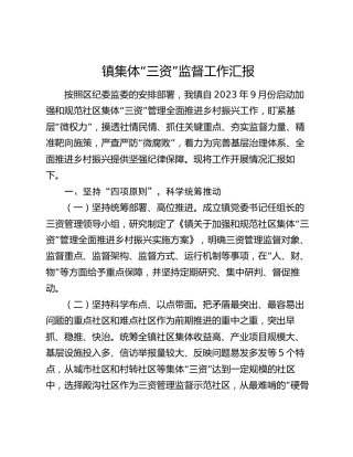 乡镇集体“三资”监督工作汇报