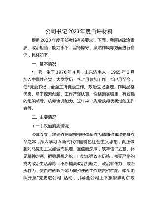 公司党委书记个人总结自评3200字（政治素质、政治担当、能力水平、品德操守、廉洁作风，述职参考）