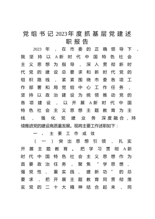 市局党组书记2023年度抓基层党建述职报告2500字