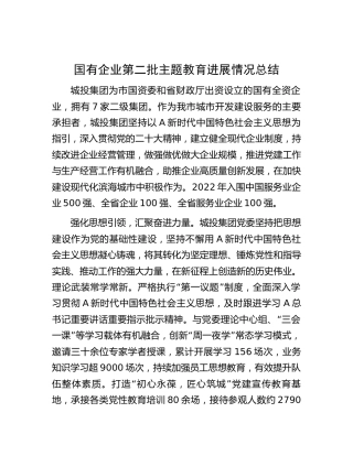 国企公司第二批主题教育进展情况总结4900字