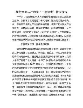 副局长履行全面从严治党“一岗双责”情况报告1900字