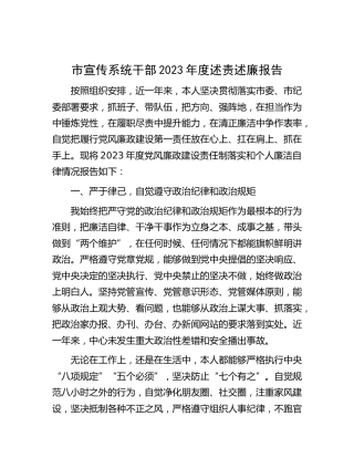 市宣传系统领导2023年度述责述廉报告3000字