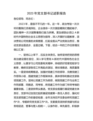 2023年公司党支部书记述职报告（党建述职3000字）